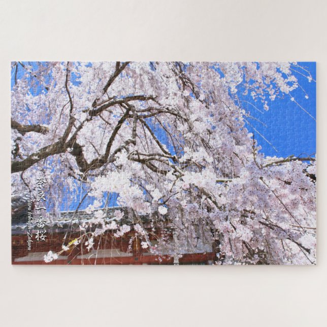 Weeping cherry tree ("Nara Ichiban-Zakura") Jigsaw Puzzle (Horizontal)