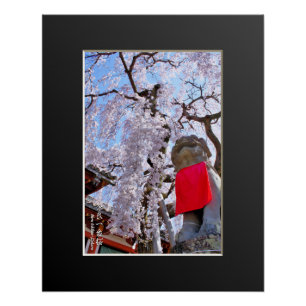Weeping cherry tree ("Nara Ichiban-Zakura") Poster