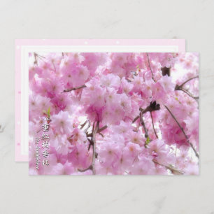 Weeping Cherry: Yae-benishidare Card