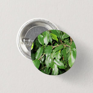 Weeping Fig Leaves 3 Cm Round Badge