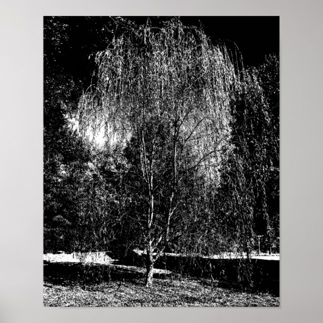 Weeping Willow Canvas Poster (Front)