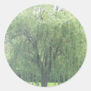 Weeping WIllow Classic Round Sticker