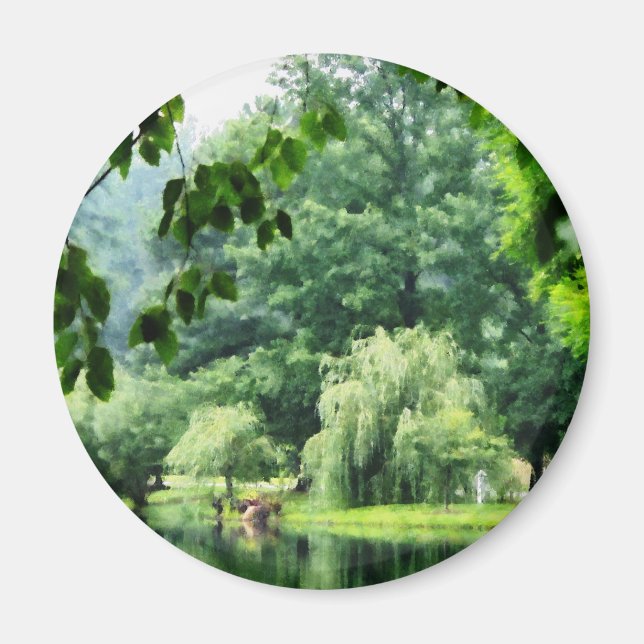 Weeping Willow in the Mist Magnet (Front)