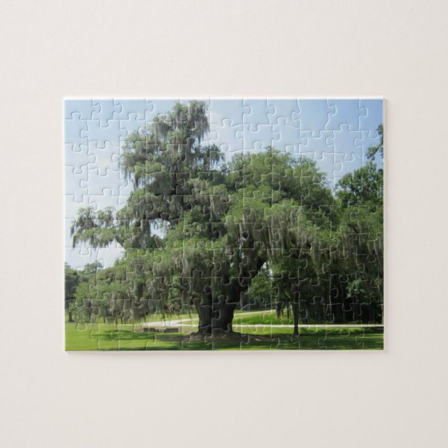 Weeping Willow Nature Scene Puzzle (Horizontal)