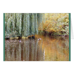 Weeping Willow Reflection