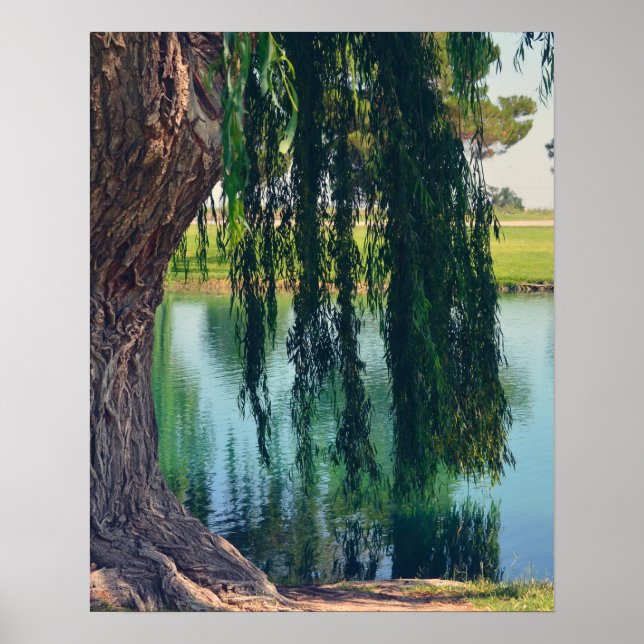 Weeping Willow Tree 20" x 16" Poster Paper (Matte) (Front)
