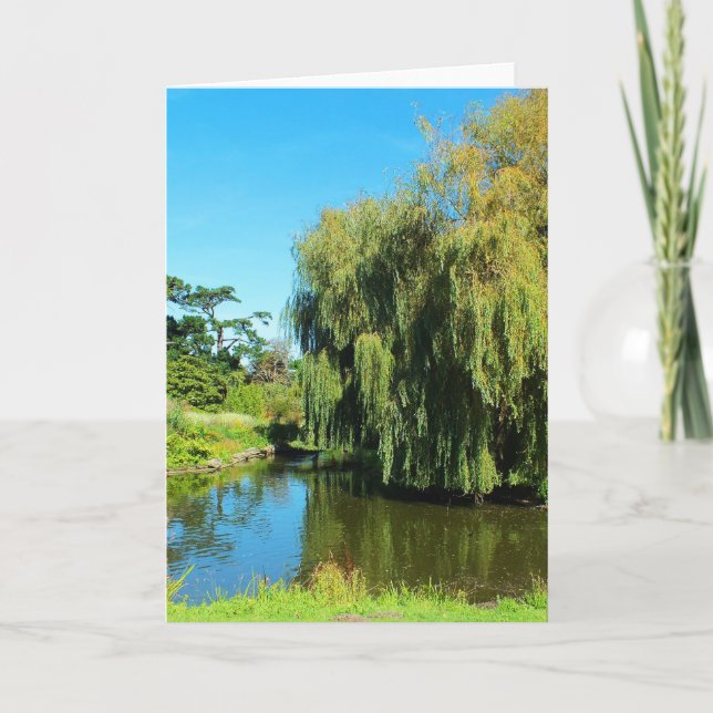 Weeping willow tree and lake holiday card (Front)