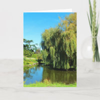 Weeping willow tree and lake