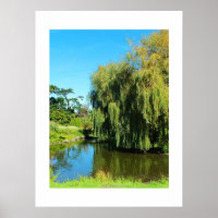 Weeping willow tree and lake