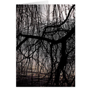 WEEPING WILLOW TREE Card