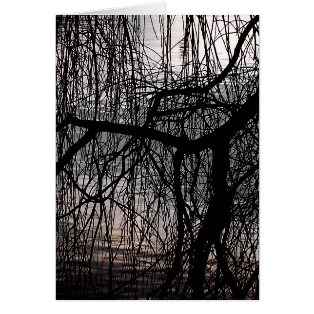 WEEPING WILLOW TREE Card (Front)