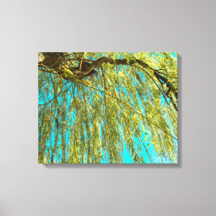 Weeping willow tree photo canvas print