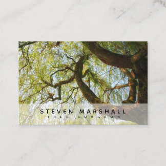 Weeping Willow Tree Surgeon Euro Business Card