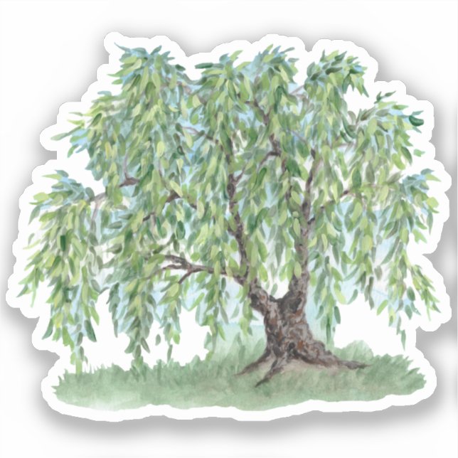 Weeping Willow Vinyl Sticker (Front)