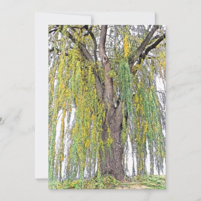 WEEPING WILLOW/YELLOW AND GREEN TENDRILS/BLANK (Front)