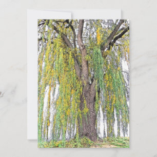 WEEPING WILLOW/YELLOW AND GREEN TENDRILS/BLANK