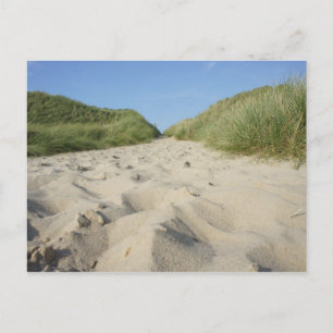Weg zum Strand durch Strandhafer Postcard