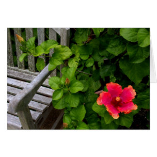 Wegerzyn Garden Centre #30