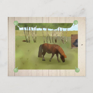 Weidepony Postcard