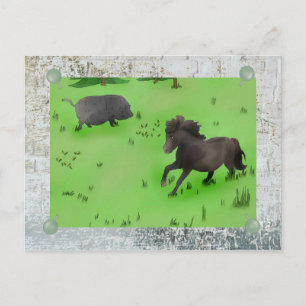 Weidepony und Schwein Postcard