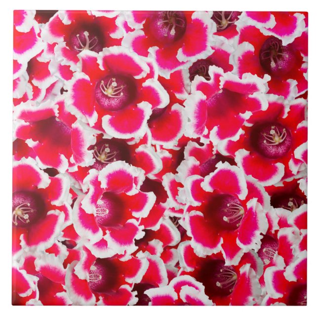 Weigela Florida Flowers Ceramic Tile (Front)