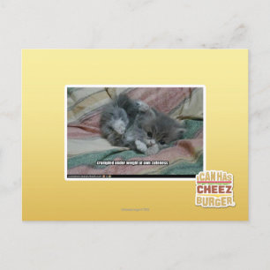 Weight of own cuteness postcard