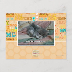 Weight of own cuteness postcard