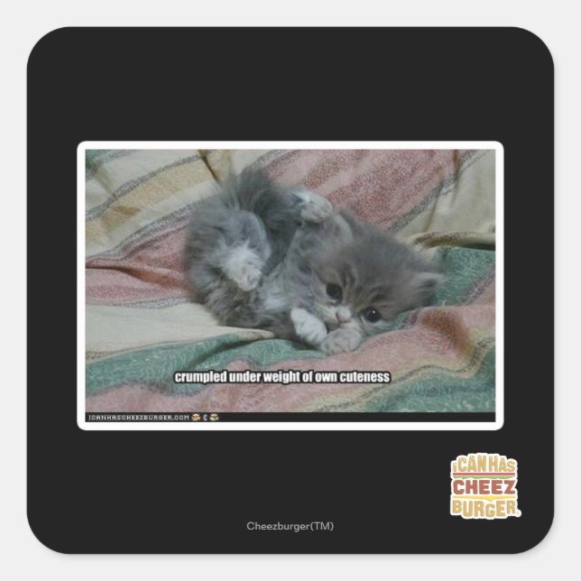 Weight of own cuteness square sticker (Front)