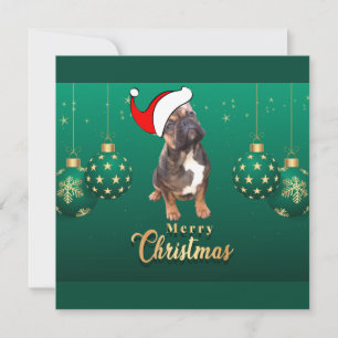 Weihnachtskarte französische Bulldoggen Christmas Invitation
