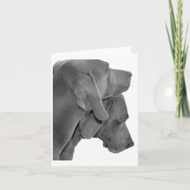 Weim Portrait - Black & White Card (Front)