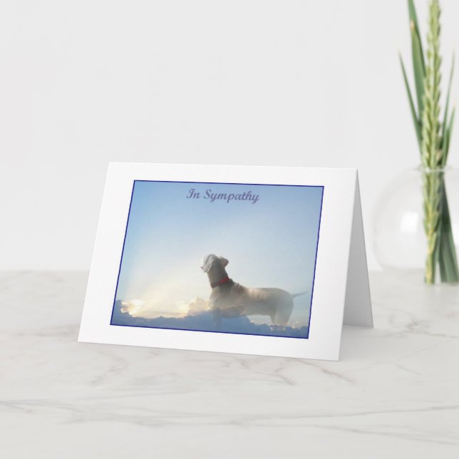 Weim Sympathy Card (Front)