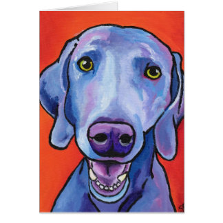 Weimaraner