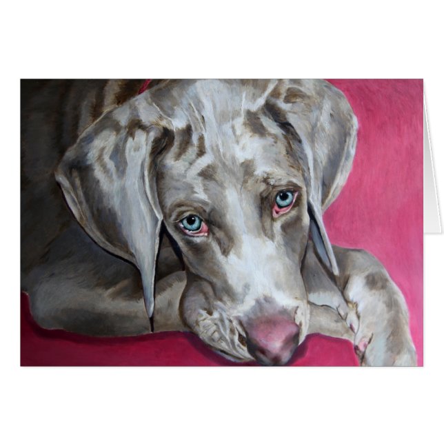 Weimaraner (Front Horizontal)
