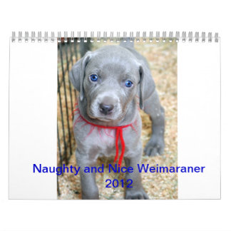 weimaraner 2012 calendar