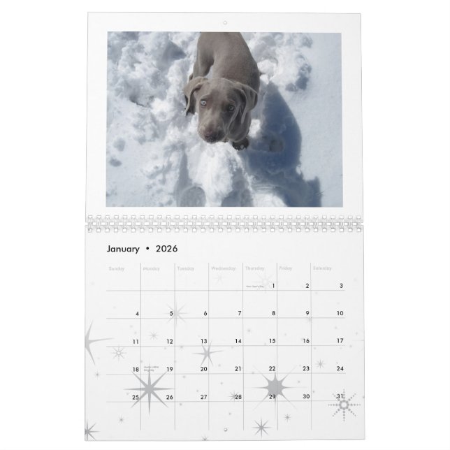 weimaraner 2012 calendar (Jan 2026)