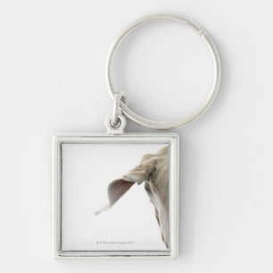 Weimaraner 2 key ring