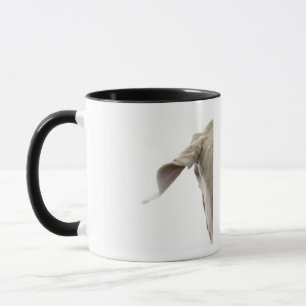 Weimaraner 2 mug