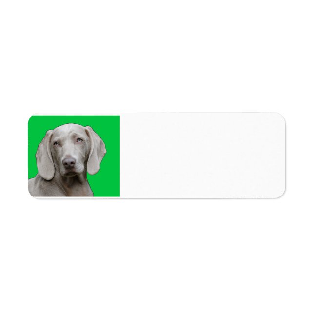 weimaraner 2 return address label (Front)