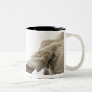 Weimaraner 2 Two-Tone coffee mug