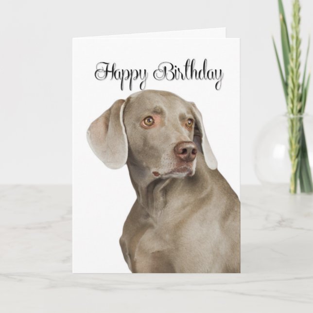 Weimaraner Birthday Card (Front)