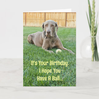 Weimaraner Birthday Card
