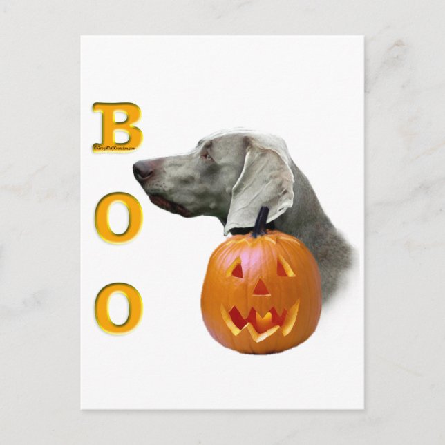 Weimaraner Boo Postcard (Front)