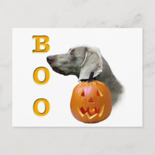 Weimaraner Boo Postcard