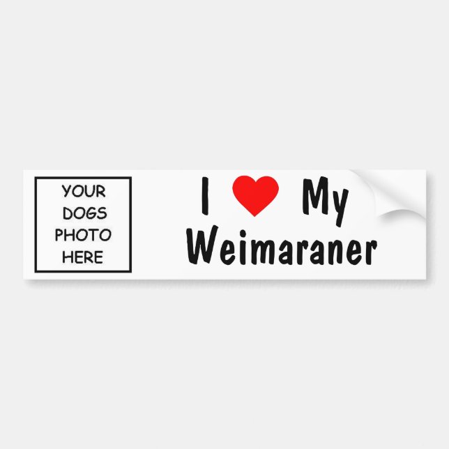 Weimaraner Bumper Sticker (Front)