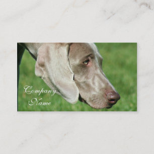 Weimaraner Business Cards