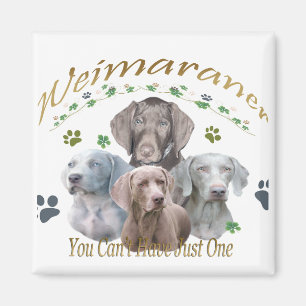 Weimaraner Can't Have Just One Magnet
