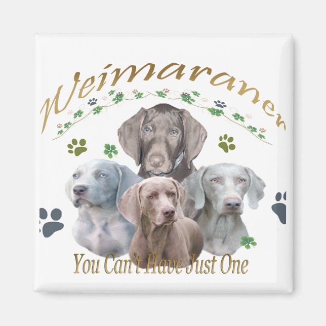 Weimaraner Can't Have Just One Magnet (Front)