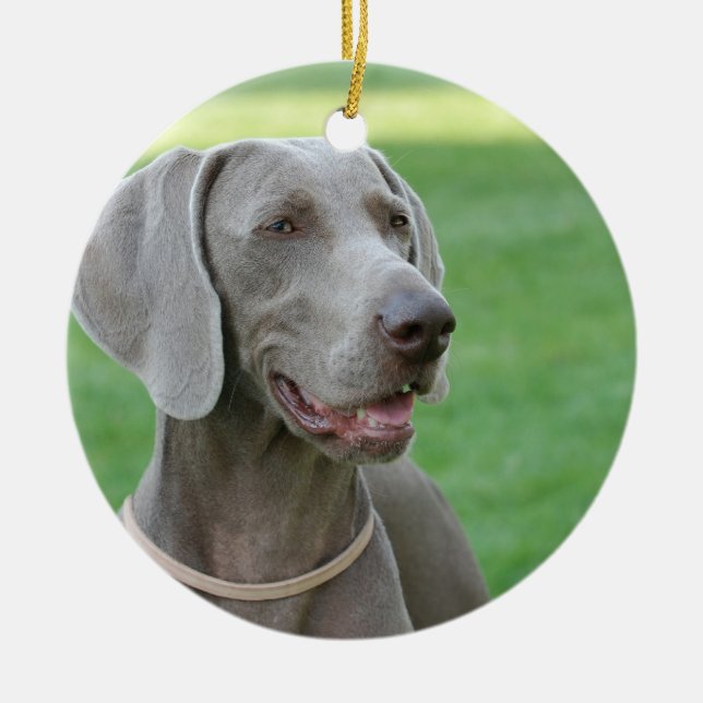 Weimaraner Ceramic Tree Decoration (Front)