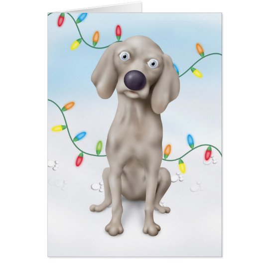 Weimaraner Christmas Card