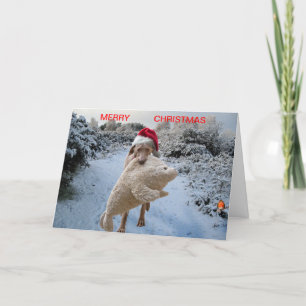 Weimaraner Christmas card